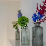 Central Studio Apartment With Free Baselcard - Matisse