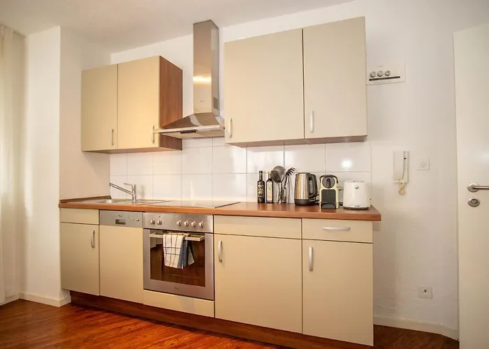 Central Studio Apartment With Free Baselcard - Matisse